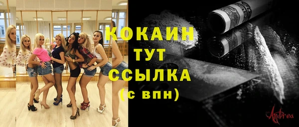 ECSTASY Инта